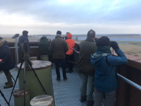 Lauwersmeer - Uitkijktoren De Reiddomp